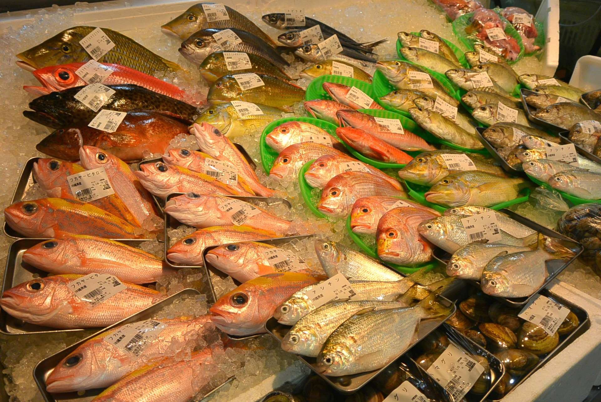 🛒 토마리 어시장(토마리 이유마치) 이미지 5